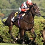 Glacius (GB) - Saratoga Debry G1 - Barbara D. Livingston - Daily Racing Form