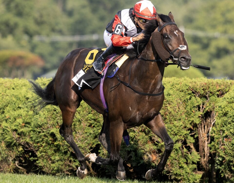 Glacius (GB) - Saratoga Debry G1 - Barbara D. Livingston - Daily Racing Form