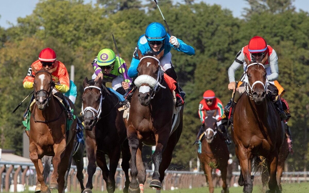 Go for Launch -Bolton Landing Stakes - Saratoga - Barbara D. Livingston - Daily Racing Form