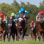 Go for Launch -Bolton Landing Stakes - Saratoga - Barbara D. Livingston - Daily Racing Form