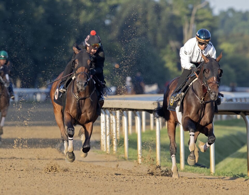 Golden Tempo (parte interna) - Barbara D. Livingston - Daily Racing Form
