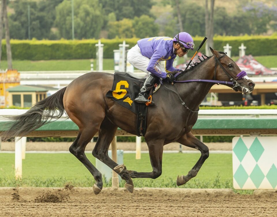 He Is No Lie - Benoit Photo, CA