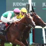 Item - Juddmonte International Stakes Group 1 - York Racecourse - Coady Media - Renee Torbit