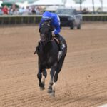 Knightsbridge - Coglianese Photo - Ryan Thompson