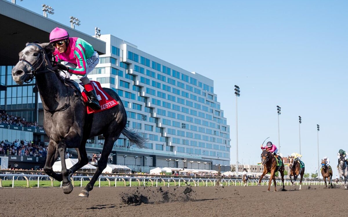 Luster - King's Plate Stakes - Woodbine - Michael Burns Photo