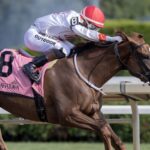 M Bs Melanie Cares; Ricardo Santana, Jr., up; trainer Ernesto Ochoa - Barbara D. Livingston - Daily Racing Form
