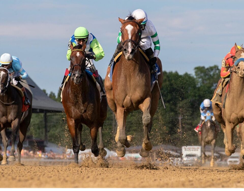 Munnings Express - Johnstone Stakes - Saratoga - Barbara D. Livingston - Daily Racing Form