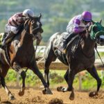 Net Par - Graduation Stakes - Del Mar - Benoit Photo, CA