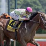 Barbara D. Livingston - Daily Racing Form