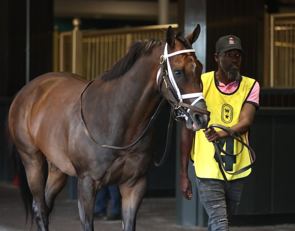 Outlaw Kid - Julie Wright - Daily Racing Form