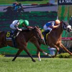 Proctor Street - Canadian Stakes G2 - Julie Wright / Daily Racing Form