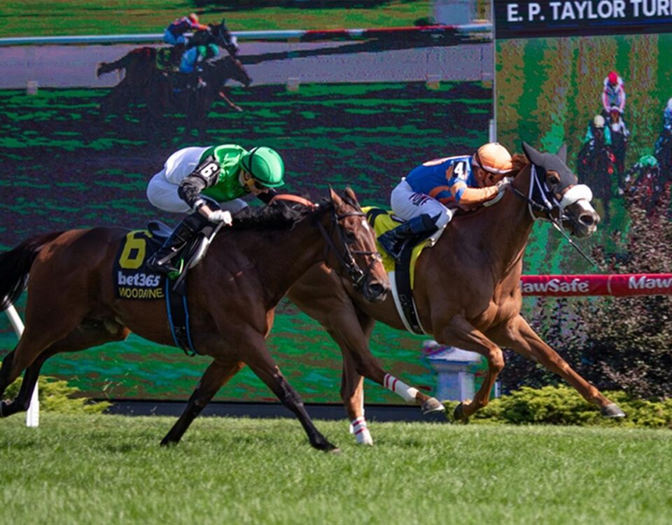 Proctor Street - Canadian Stakes G2 - Julie Wright / Daily Racing Form