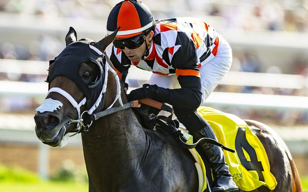 Proletariat - Oceanside Handicap - Del Mar - Benoit Photo
