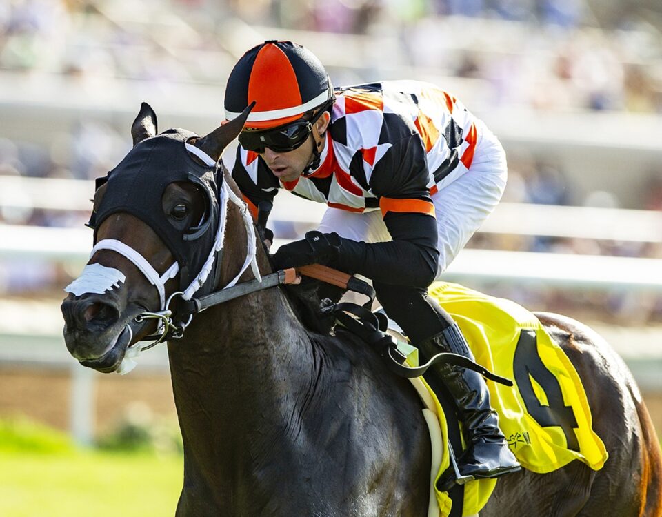 Proletariat - Oceanside Handicap - Del Mar - Benoit Photo