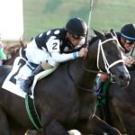 Seneca Park - Untapable Stakes - Kentucky Downs - Coady Media