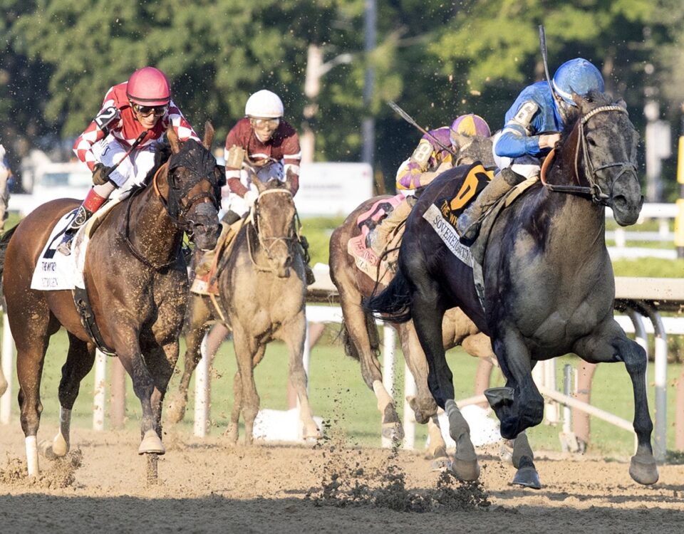 Sovereignty - Whitney G1 - Barbara D. Livingston - Daily Racing Form