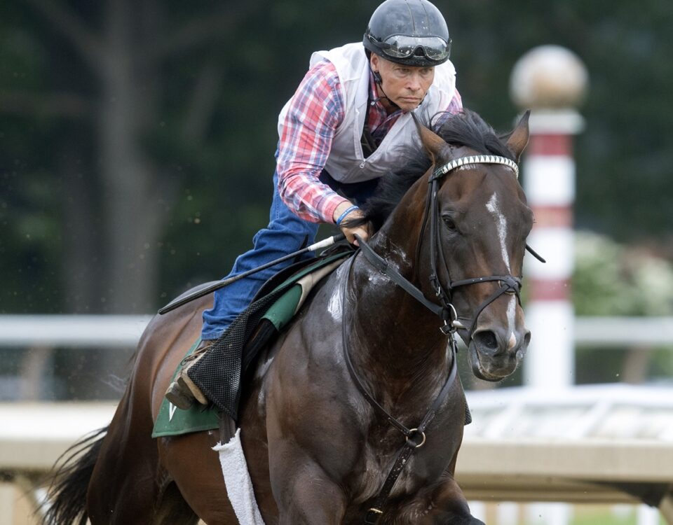 Sovereignty - Barbara D. Livingston - Daily Racing Form
