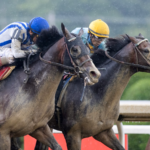 Stars and Stripes - Barbara D. Livingston - Daily Racing Form