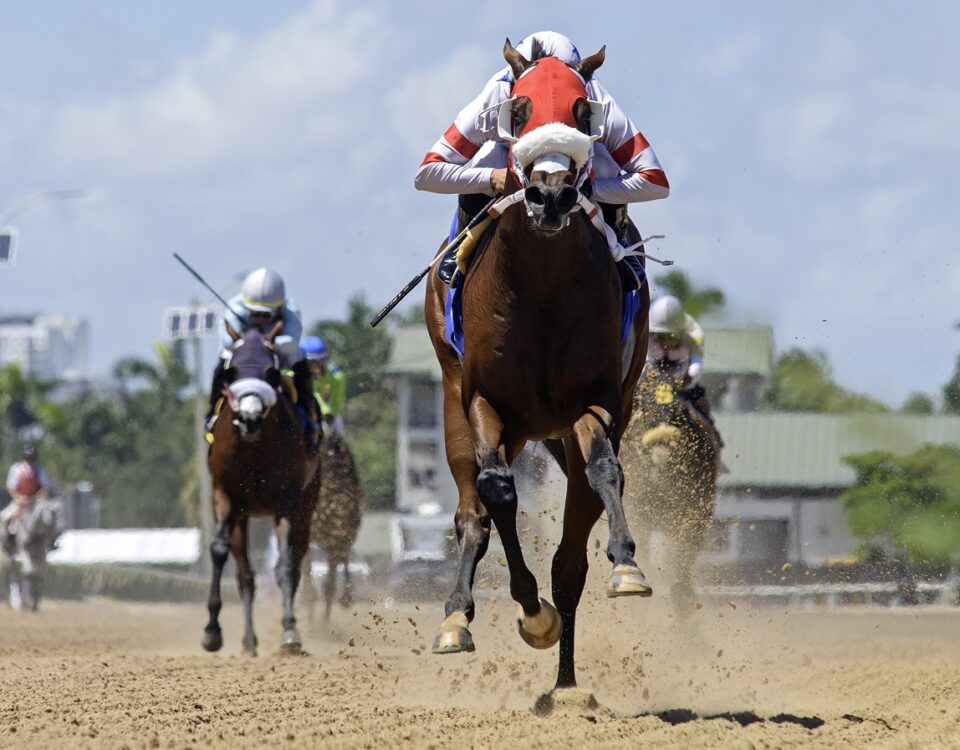 Sum of Success - the In Summation - credit Ryan Thompson - Coglianese Photo