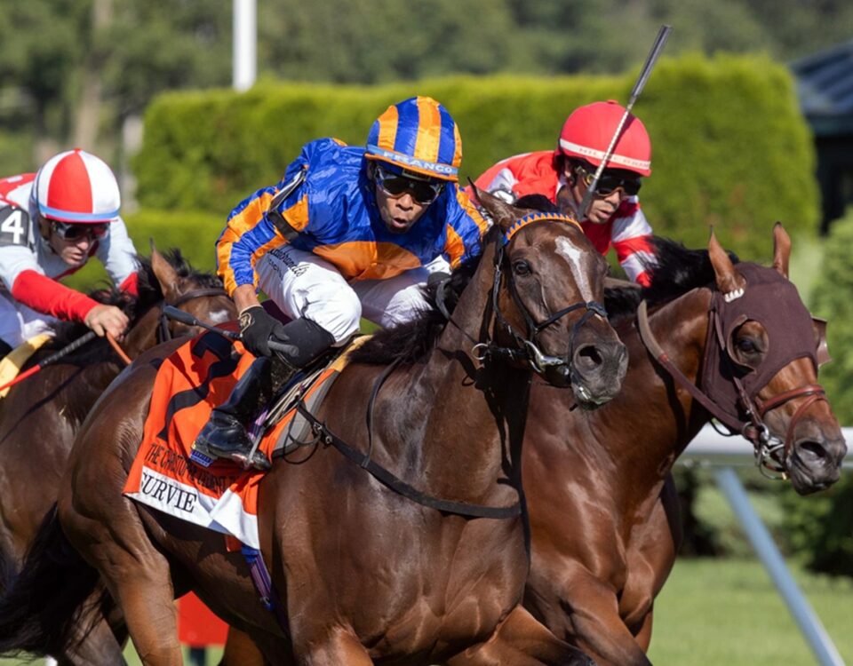 Survie (Ire) - Christophe Clement Turf Stakes G1 - Saratoga - Barbara D. Livingston - Daily Racing Form