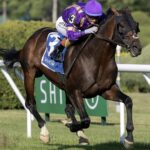 Tawny Port - Barbara D. Livingston - Daily Racing Form