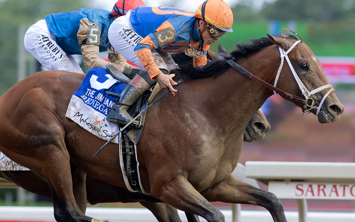 Renegade - Barbara D. Livingston - Daily Racing Form