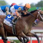 Renegade - Barbara D. Livingston - Daily Racing Form