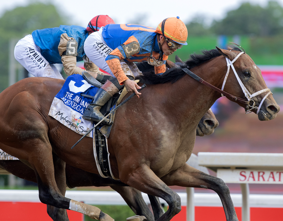 Renegade - Barbara D. Livingston - Daily Racing Form