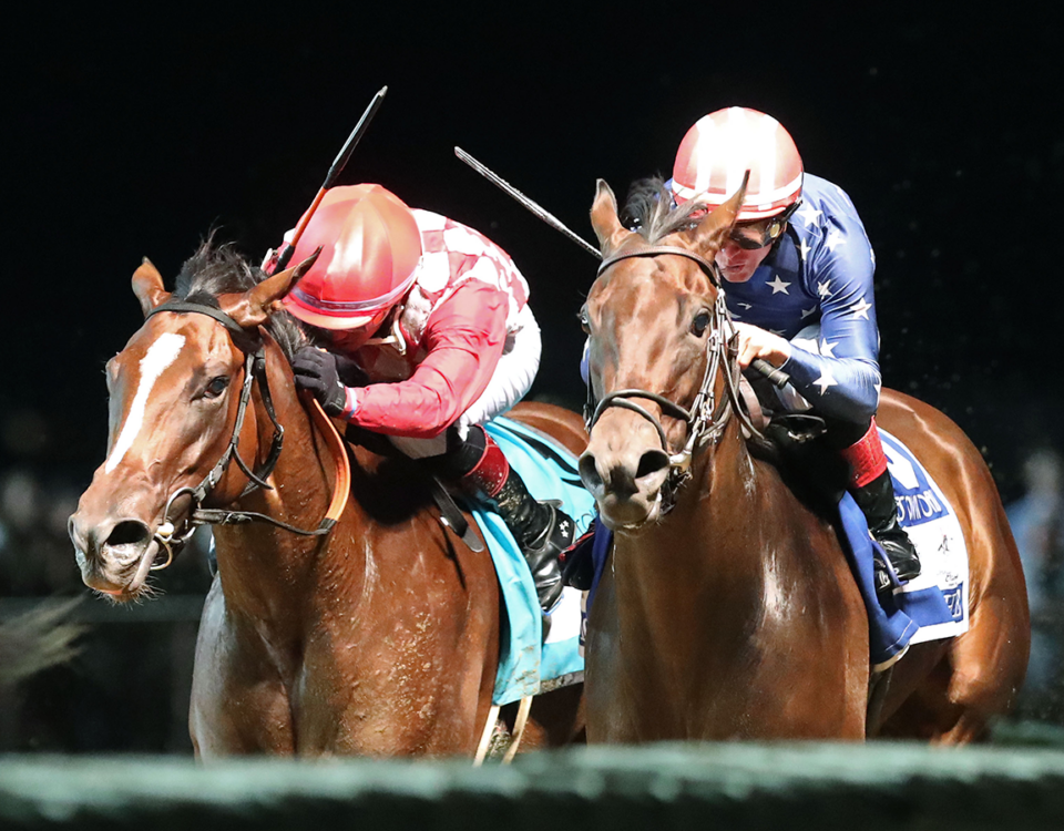 NICHE - The Charles Town Oaks G2 - Charles Town - Renee Torbit / Coady Media
