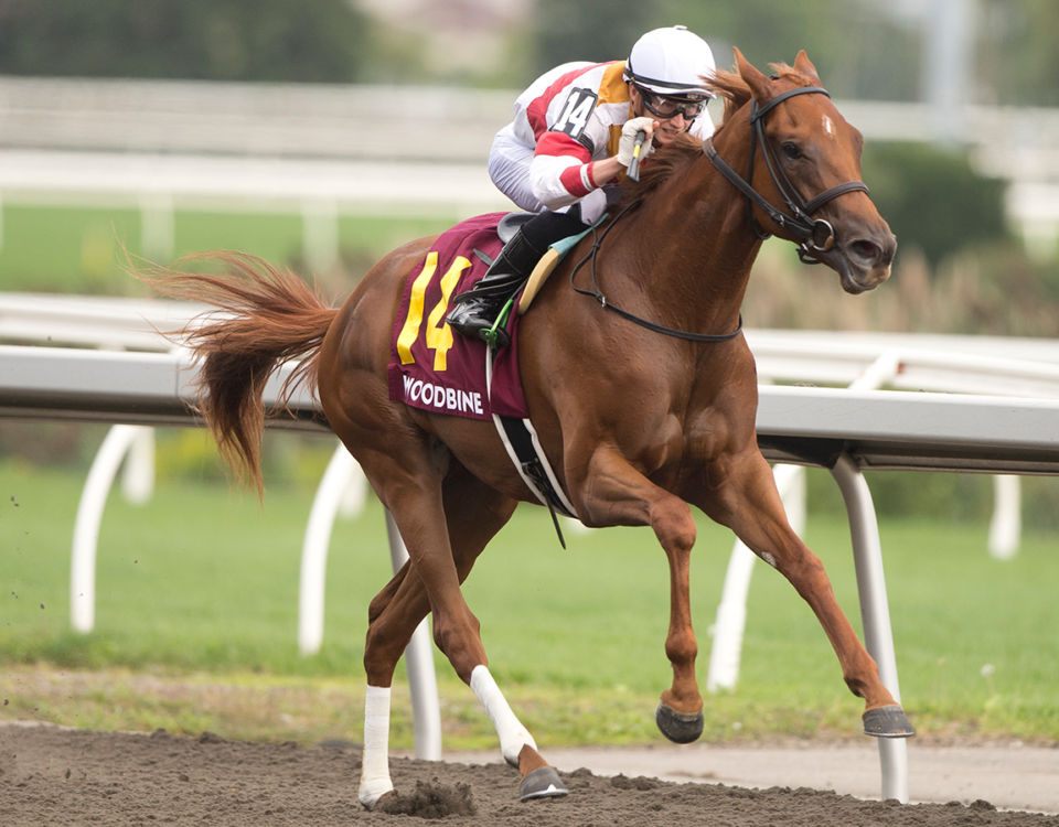 Sweet Bordeaux - Muskoka Stakes - Michael Burns photo - Woodbine