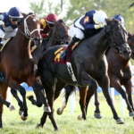 Plensa - Tapit Stakes $500,000 - Coady Media - Kentucky Downs