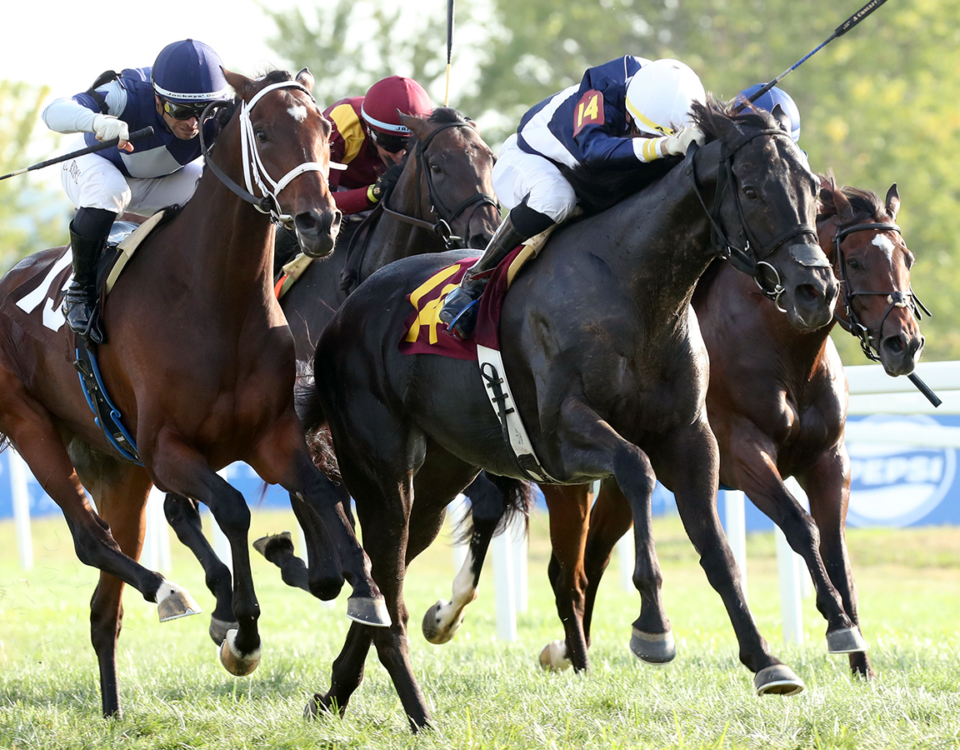 Plensa - Tapit Stakes $500,000 - Coady Media - Kentucky Downs