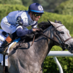 Greyjoy - New York Stallion Statue of Liberty Stakes - Barbara D. Livingston - Daily Racing Form