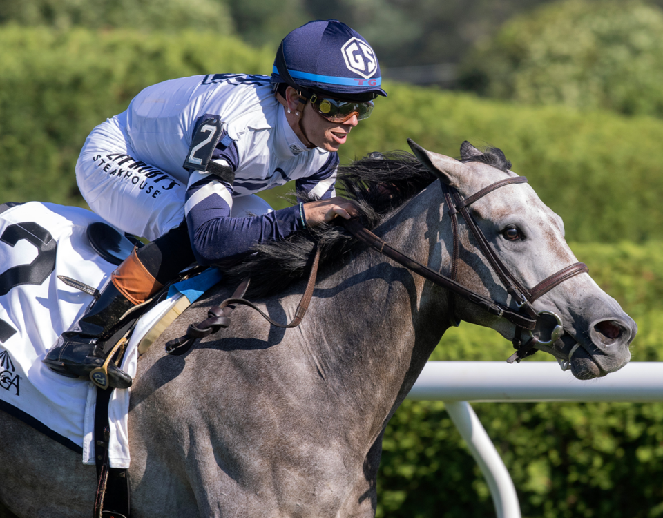 Greyjoy - New York Stallion Statue of Liberty Stakes - Barbara D. Livingston - Daily Racing Form