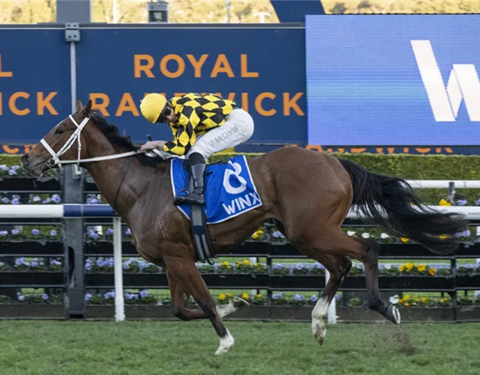 Autumn Glow winning the WINX STAKES (G1) at Randwick in Australia Picture: Bradly Photos