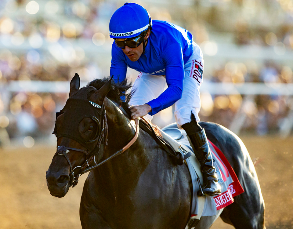 Knightsbridge - Pacific Classic G1 - Benoit Photo, Del Mar