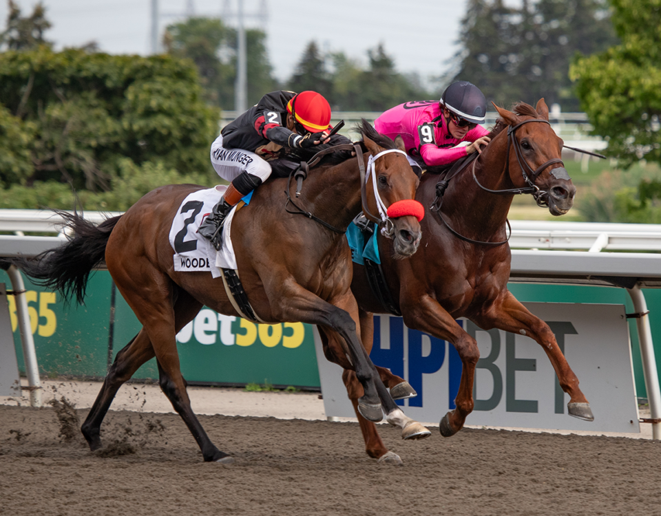 Paramount Prince - Seagram Cup G3 - Julie Wright - Daily Racing Form