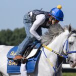 White Abarrio - Barbara D. Livingston - Daily Racing Form