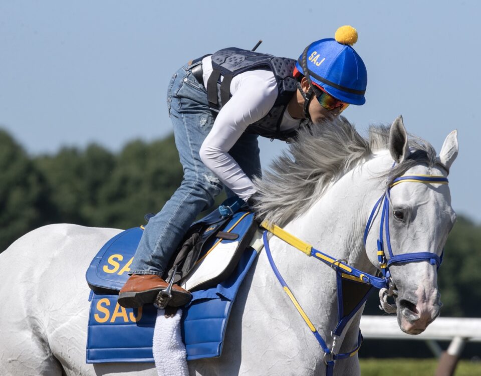 White Abarrio - Barbara D. Livingston - Daily Racing Form