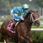 Wood Island - Skidmore Stakes - Saratoga - Barbara D. Livingston - Daily Racing Form