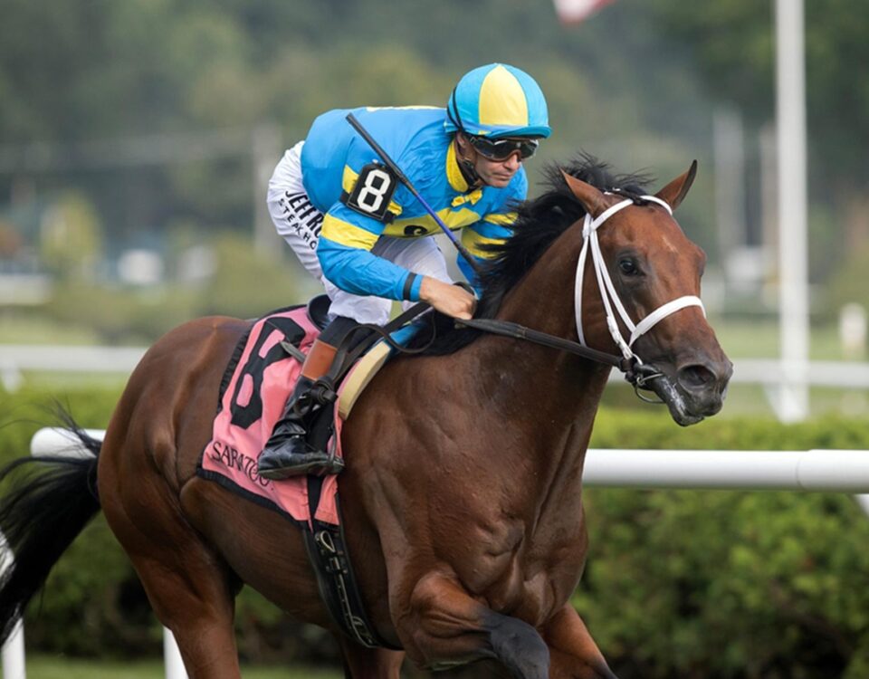 Wood Island - Skidmore Stakes - Saratoga - Barbara D. Livingston - Daily Racing Form