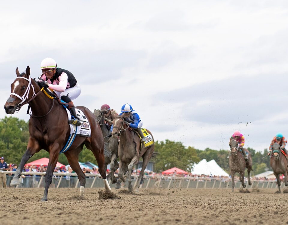 Bodacious Bay - Cotillion Stakes G1 $1,000,000 at Parx. Photo by Ryan Denver/EQUI-PHOTO.