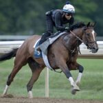 Always a Runner - Barbara D. Livingston - Daily Racing Form