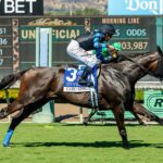 Cabo Spirit - City of Hope Mile Stakes G2 - Santa Anita Park - BENOIT Photo