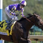 Englishman - Barbara D. Livingston - Daily Racing Form
