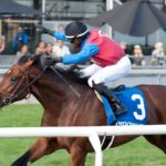 Fire and Wine - Breeder's Stakes - Michael Burns Photo