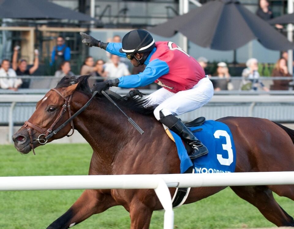 Fire and Wine - Breeder's Stakes - Michael Burns Photo