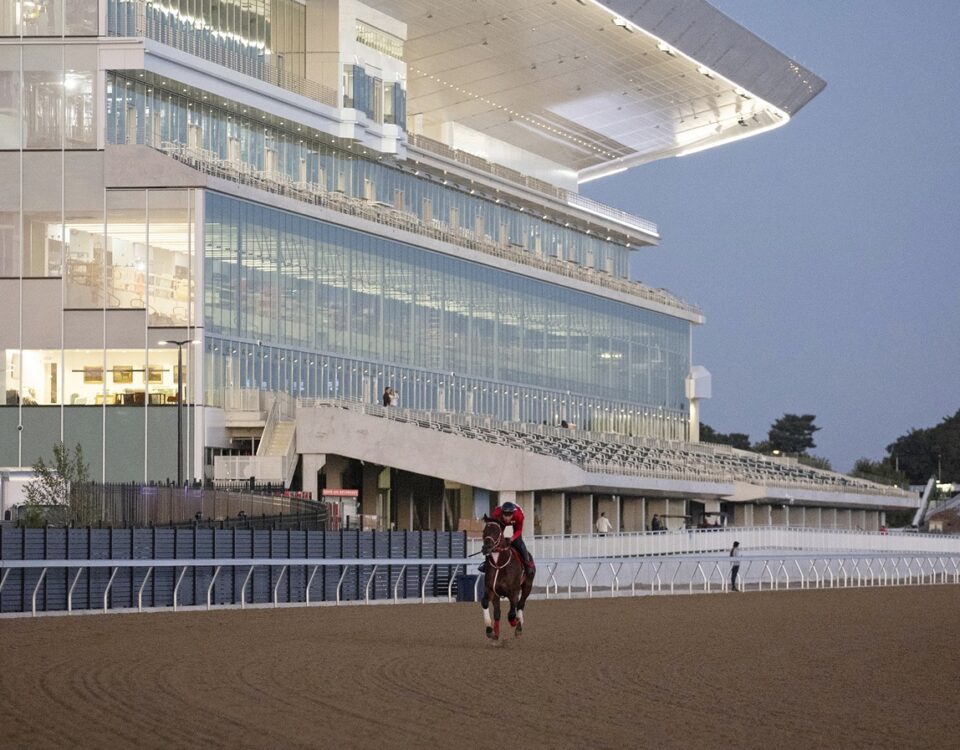 Forever Young, sobre la pista de Belmont Park, Sep12, 2026 - Susie Raisher photo