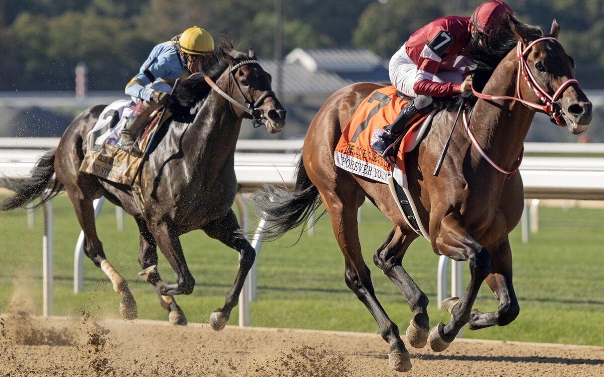 Forever Young (Jpn) - Jockey Club Gold Cup G1 - Barbara D. Livingston - Daily Racing Form