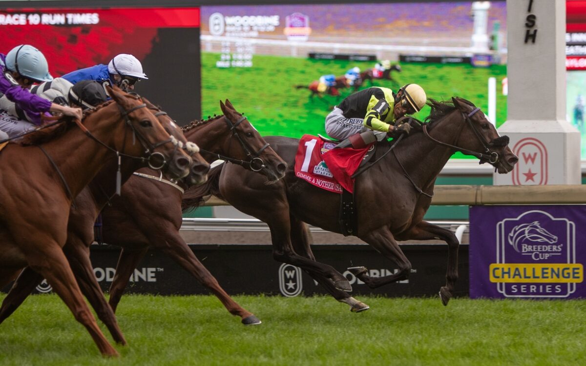 Gimme a Nother (SAf) - E P Taylor G1 - Julie Wright - Daily Racing Form